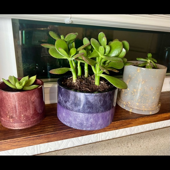 Planter - Picture 3 of 3